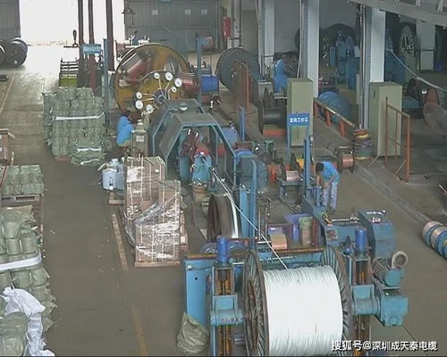 揭阳民生热线专访董事长陈展新 诚信经营创品牌 电缆行业勇创新